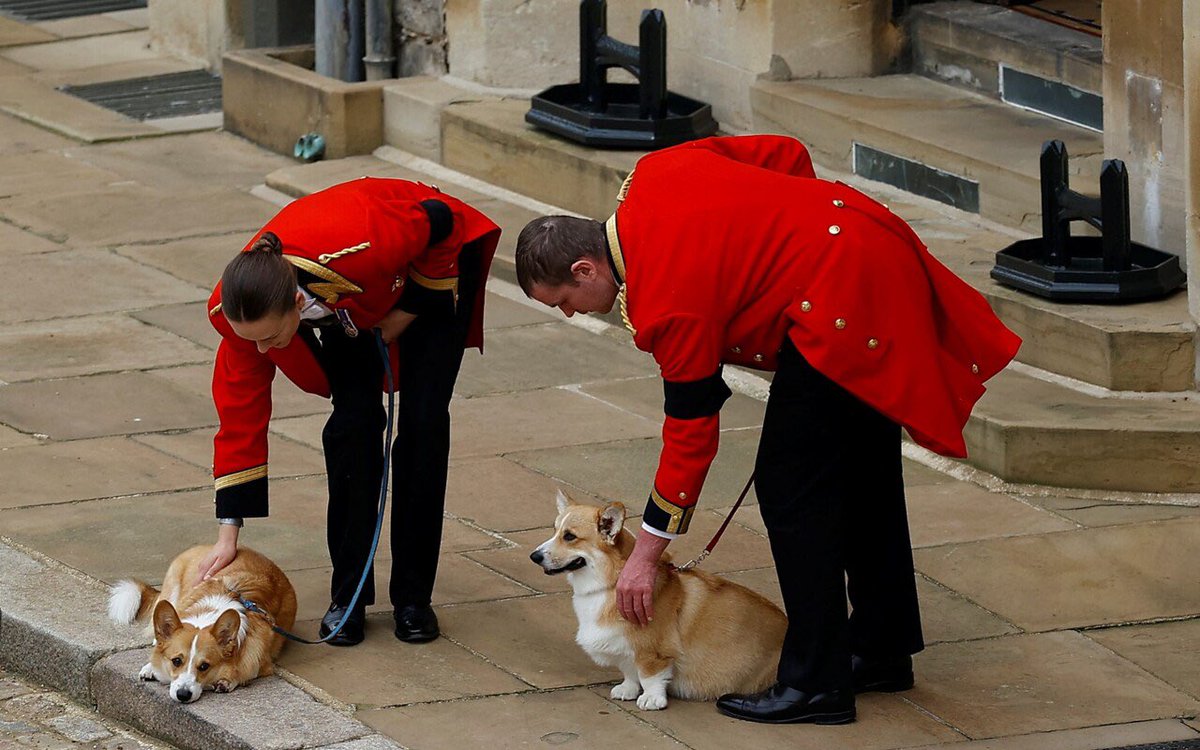 Saddest thing I saw today 😢