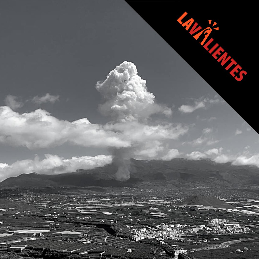 Lavalientesong's tweet photo. 💪¡HOY NADA QUE CELEBRAR!💪

➡️ Simplemente es otro día más para seguir arrimando el hombro a quienes más lo necesitan. ¡Ánimo! 💪🌋

#VolcánLaPalma #Lavalientes https://t.co/fieYikbiNg