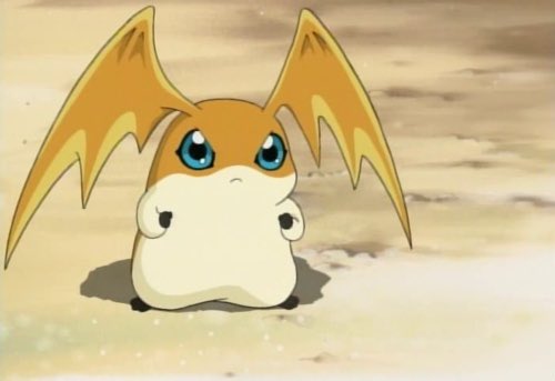 q ..
닮든 안 닮든 그냥 귀여워 보이면 냅다 외치고 보기