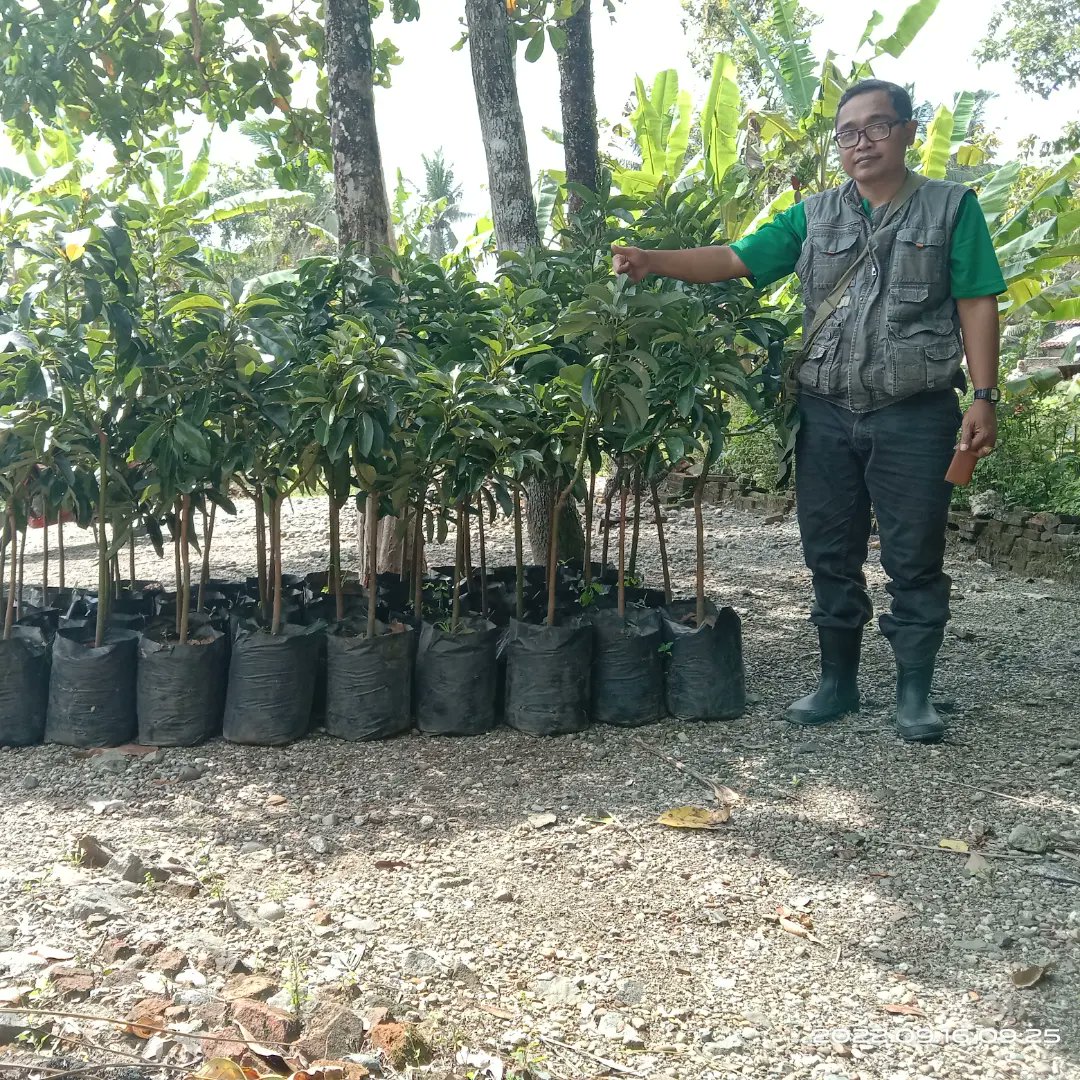 Pemdes Jatimulyo Petanahan KBM tweet media