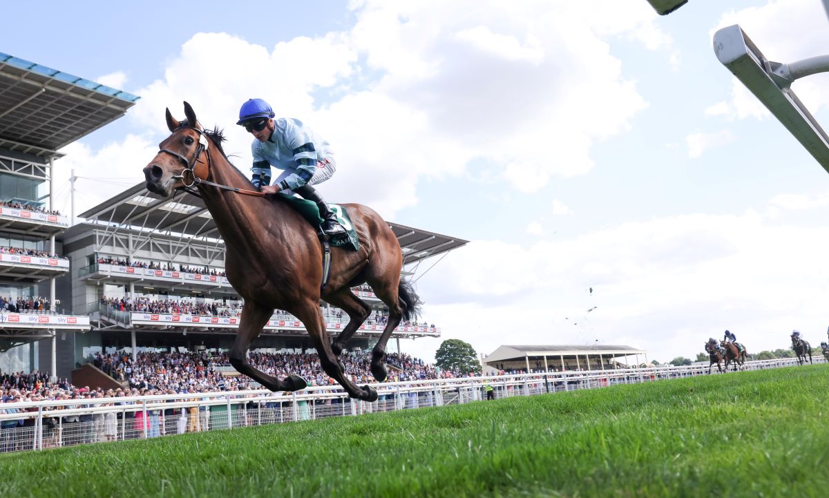 FRBC_Official's tweet photo. 2 top class stayers could run in the Group 1 Qatar Prix du Cadran 🇮🇪🇬🇧

▪️Kyprios ➡️ three-time Group 1 winner in 2022
▪️Quickthorn ➡️ twice Group 2 winner this year 

#ArcWeekend #RaceinFrance https://t.co/8lhp6k2AJU