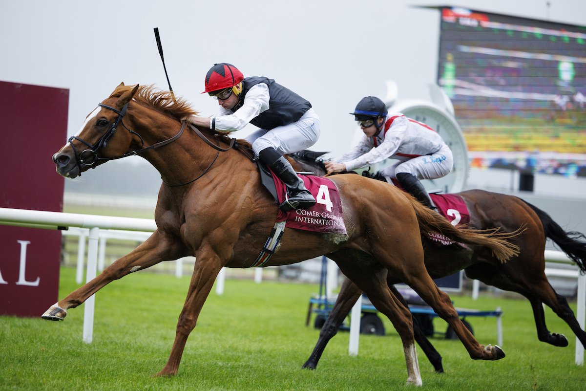 FRBC_Official's tweet photo. 2 top class stayers could run in the Group 1 Qatar Prix du Cadran 🇮🇪🇬🇧

▪️Kyprios ➡️ three-time Group 1 winner in 2022
▪️Quickthorn ➡️ twice Group 2 winner this year 

#ArcWeekend #RaceinFrance https://t.co/8lhp6k2AJU
