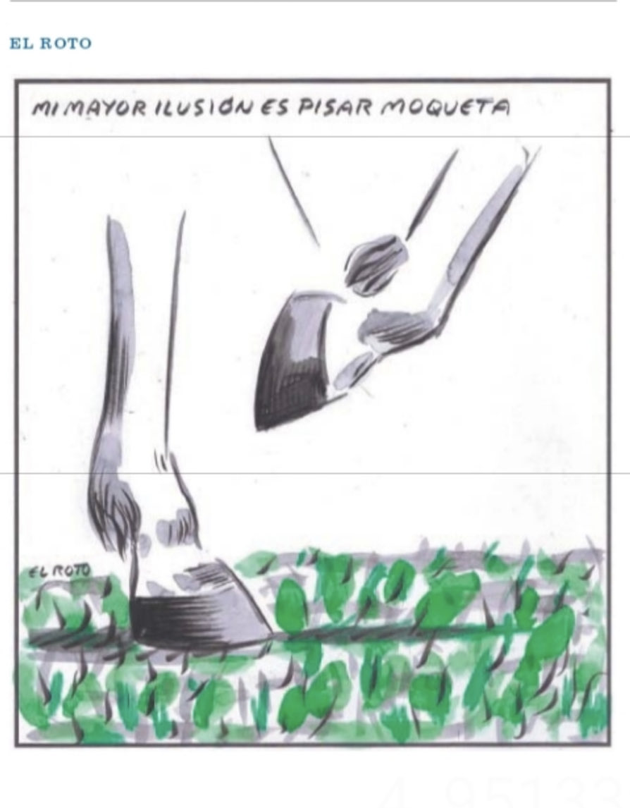 griffwat's tweet photo. A propósito de la situación en que está @HipodromoMadrid … El Roto @elroto_rss da en el clavo.
Imposible hacerlo peor , sablazo en la entrada, festival música Tecno para volver locos a los caballos , comisarios que debían estar cesados. Pobre #turfesp https://t.co/3vFYUD9oKU