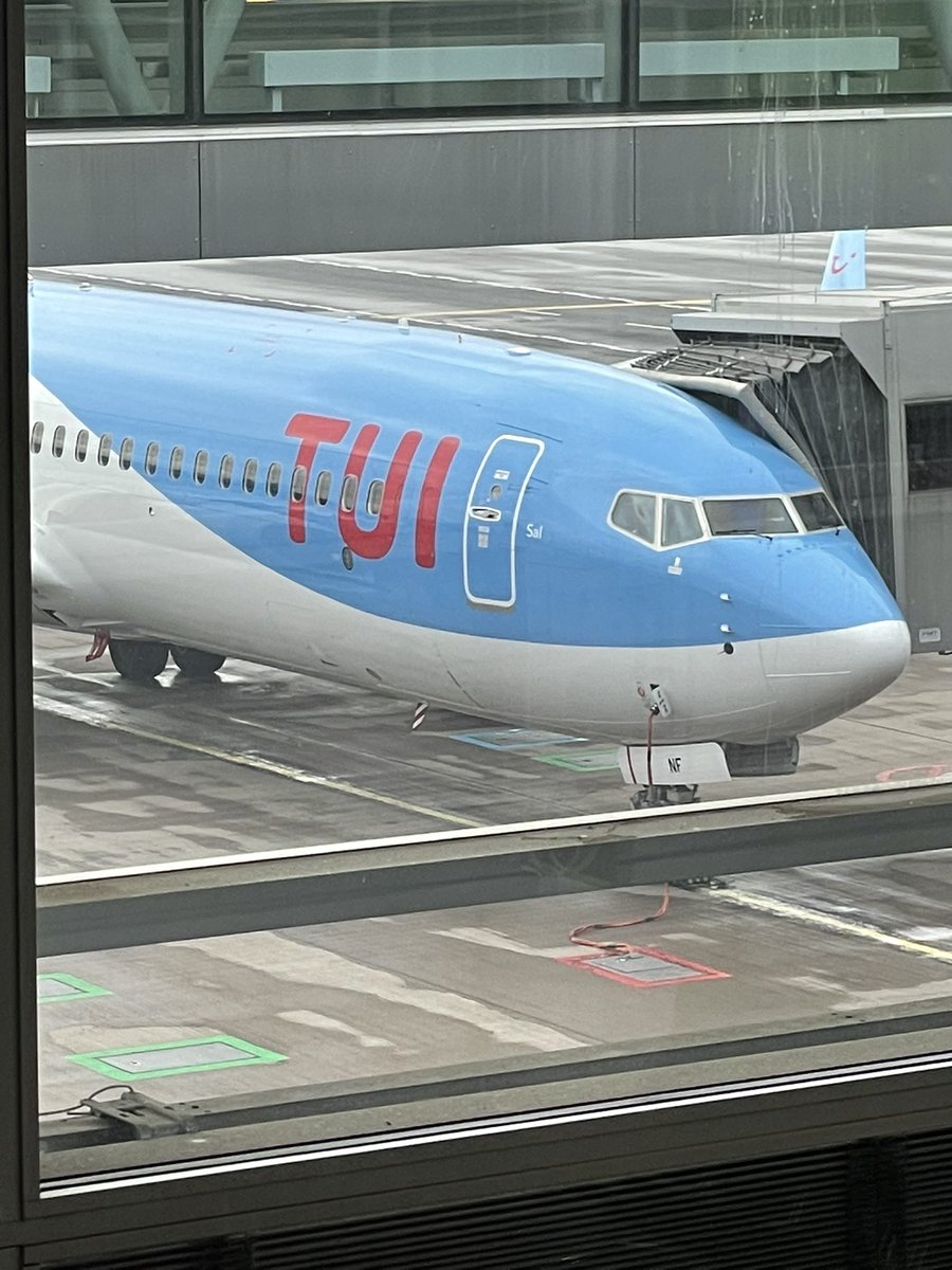 Wahlgren_80's tweet photo. Om en timme lyfter vi mot en vecka sol och bad med stundtals lite arbete från solstolen 🔥🤩😍 ✈️ #semester #laddabatterierna #solochbad #cypern #tui https://t.co/avnrtfzDLR