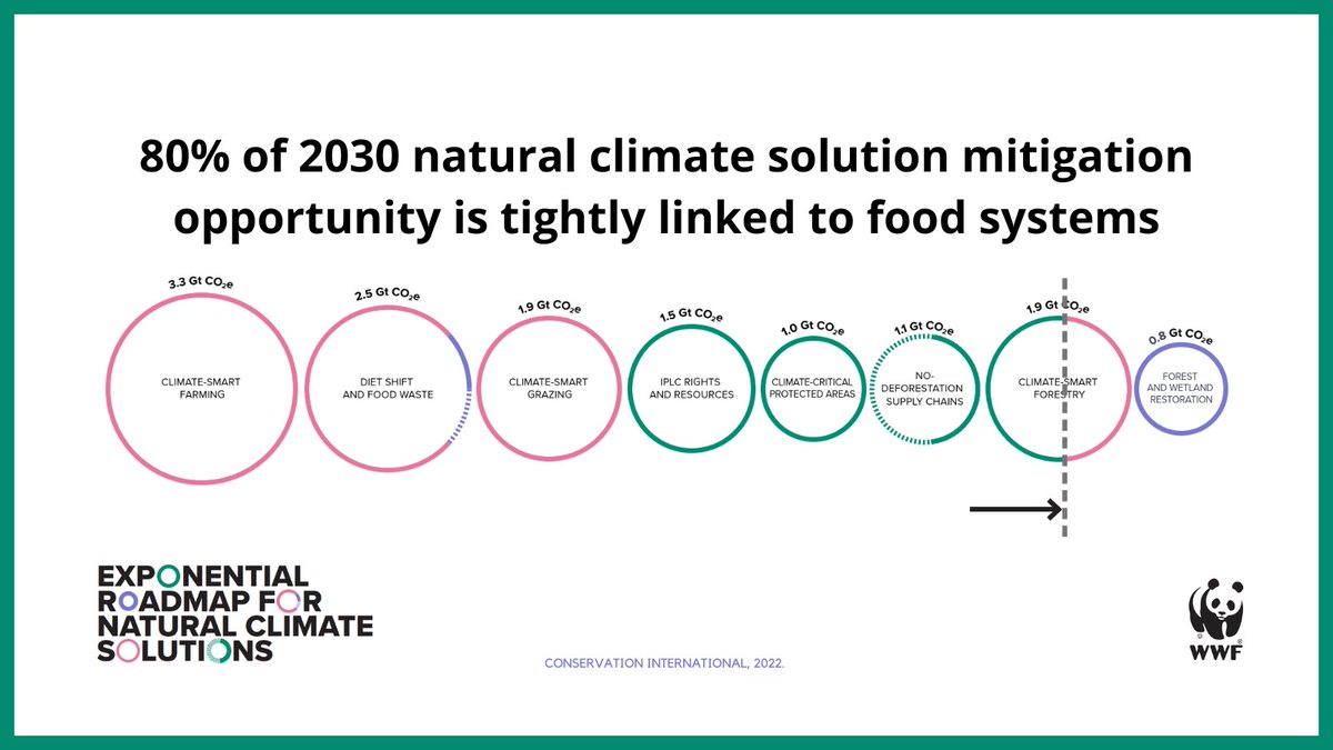 Brent Loken tweet media