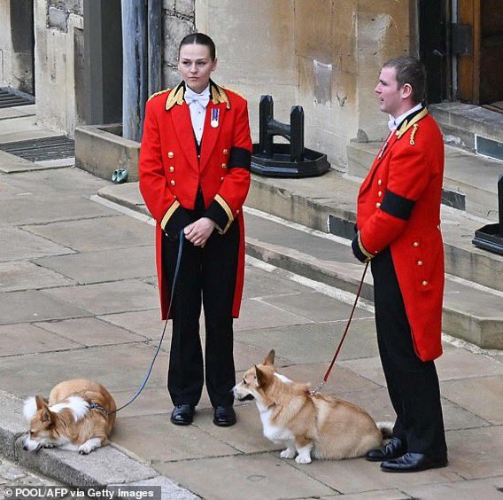 Martín Bianchi Tasso tweet media