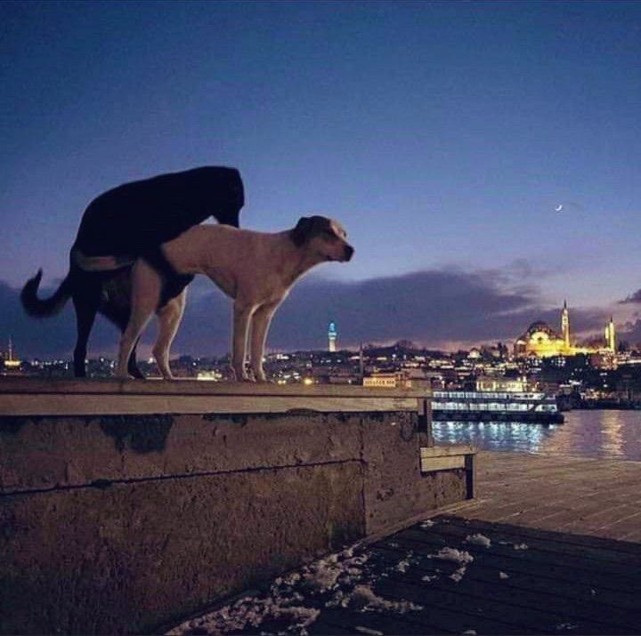 Não é o lugar, é a pessoa 🥰
