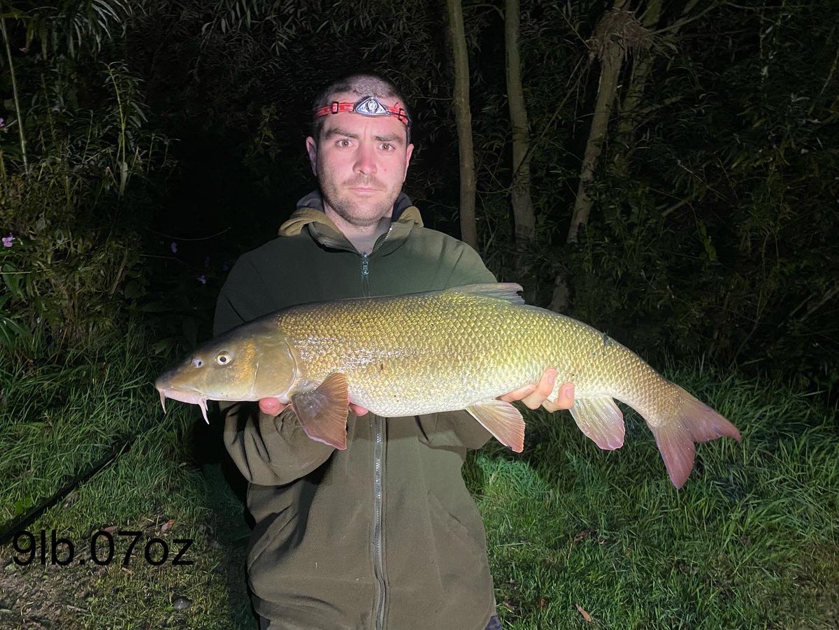 HMattym's tweet photo. Nice 9lb.07oz barble fell to @DynamiteBaits marine halibut boiles happy days #dynamitebait https://t.co/ZA8NPnlR9l