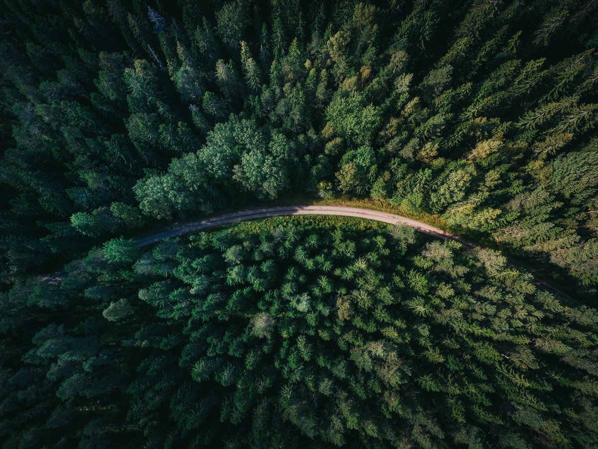 Did you know that Utah is the only state where every county contains some part of a national forest? 🌳

It’s safe to say that there is beauty anywhere you go here in the Beehive state! 😍
