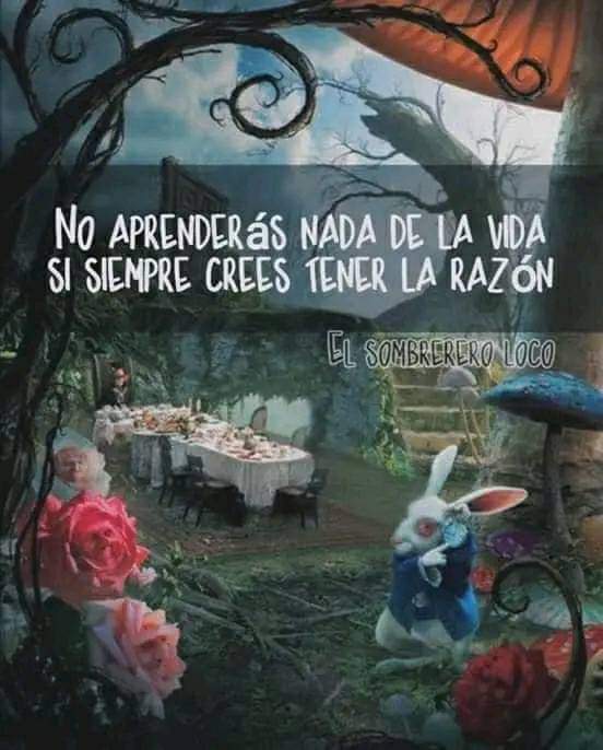 Msj19Rhm's tweet photo. Si no aprendemos de propios errores,nunca podremos avanzar .😊🧐
#exelentedia #bueniniciodesemana #lunes #cafecito #vida #todoperfecto #gracias #gracias #gracias https://t.co/sF4eLIt5nO