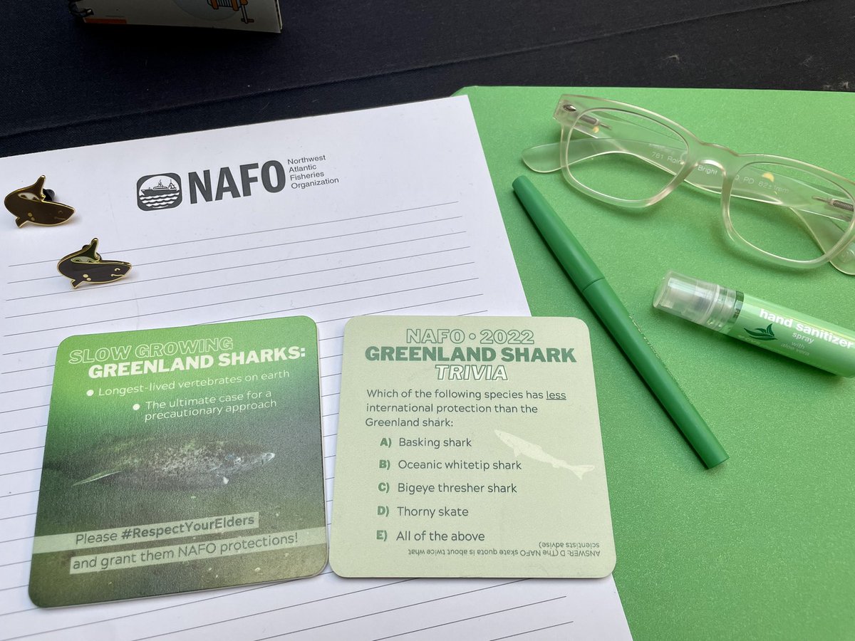SharkAdvocates's tweet photo. Delighted to be in Porto 🇵🇹 promoting protections for Greenland sharks #NAFO2022 #RespectYourElders https://t.co/mOmgTmJpJI