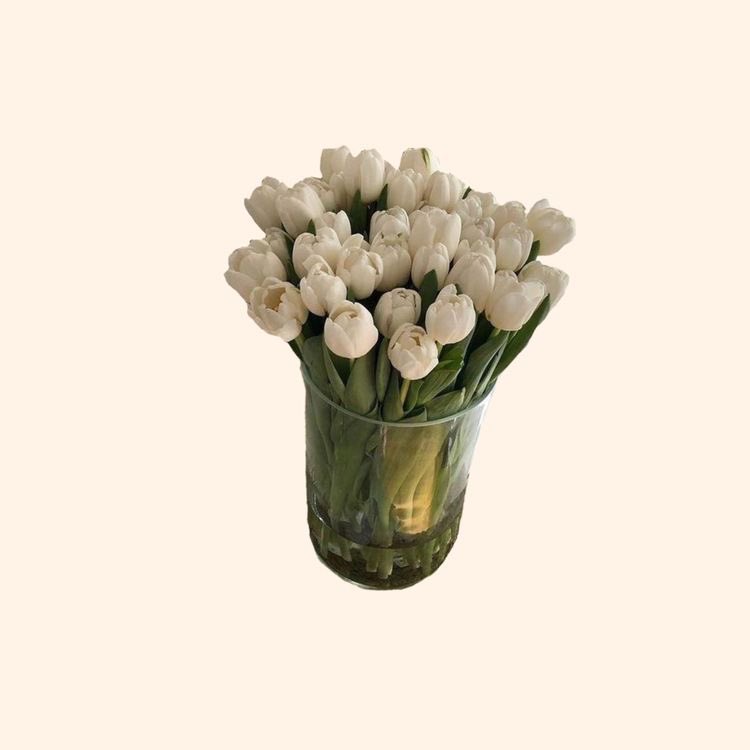 ׅ ׄ ⊹ ꒰ྀི 𝖽𝗈𝗅𝗅𝖾𝗍𝖾 ꒱ ୨ৎ tweet media