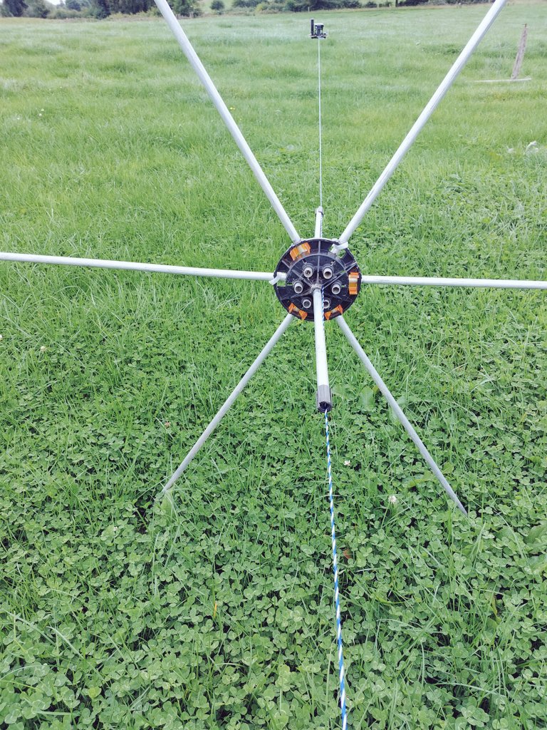 Freshgraze tweet media