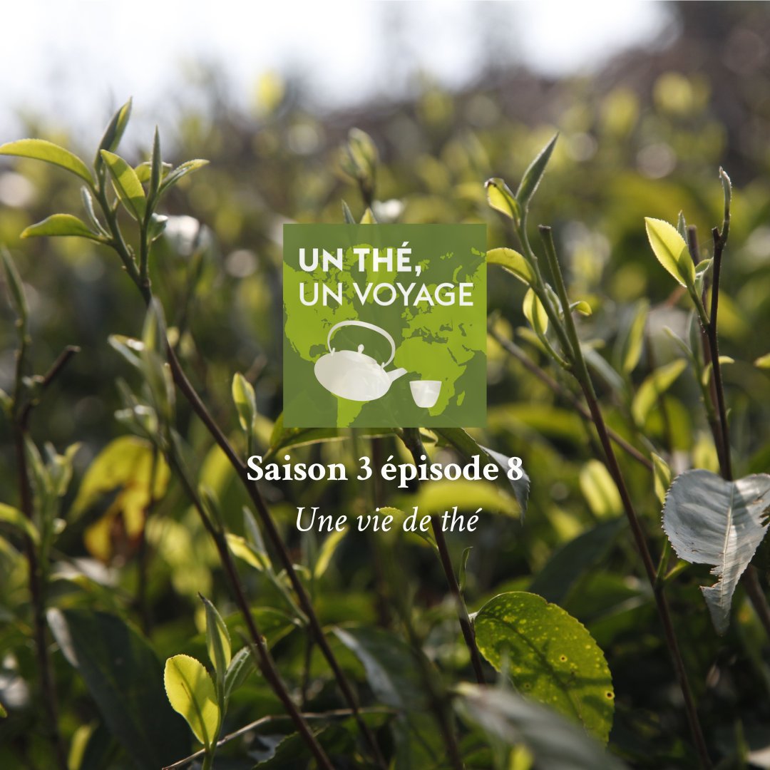 Dans cet épisode, François-Xavier Delmas et Sidonie Bonnec nous invitent à traverser chaque étape de la vie, en dégustant le thé. Un voyage intérieur et intime, à découvrir en dégustant des thés qui racontent notre histoire, à tous.
À écouter juste ici 👉 bit.ly/3f3AQRr