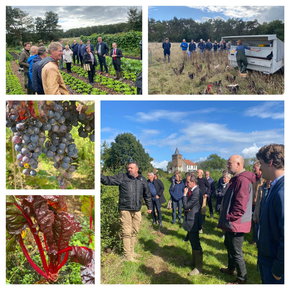 #Regiosafari <a href="/regioAN/">Groene Metropoolregio Arnhem-Nijmegen</a> in <a href="/bergendalgem/">Gemeente Berg en Dal</a> en <a href="/gemeente_heumen/">Gemeente Heumen</a>; inspirerende bezoeken aan o.a. #LivingLabOoijpolder en #BoederijBodemzicht. Over de vervlechting tussen natuur en mens, boven en onder(de)grond, nieuwe vormen van landbouw en een regeneratieve aanpak.