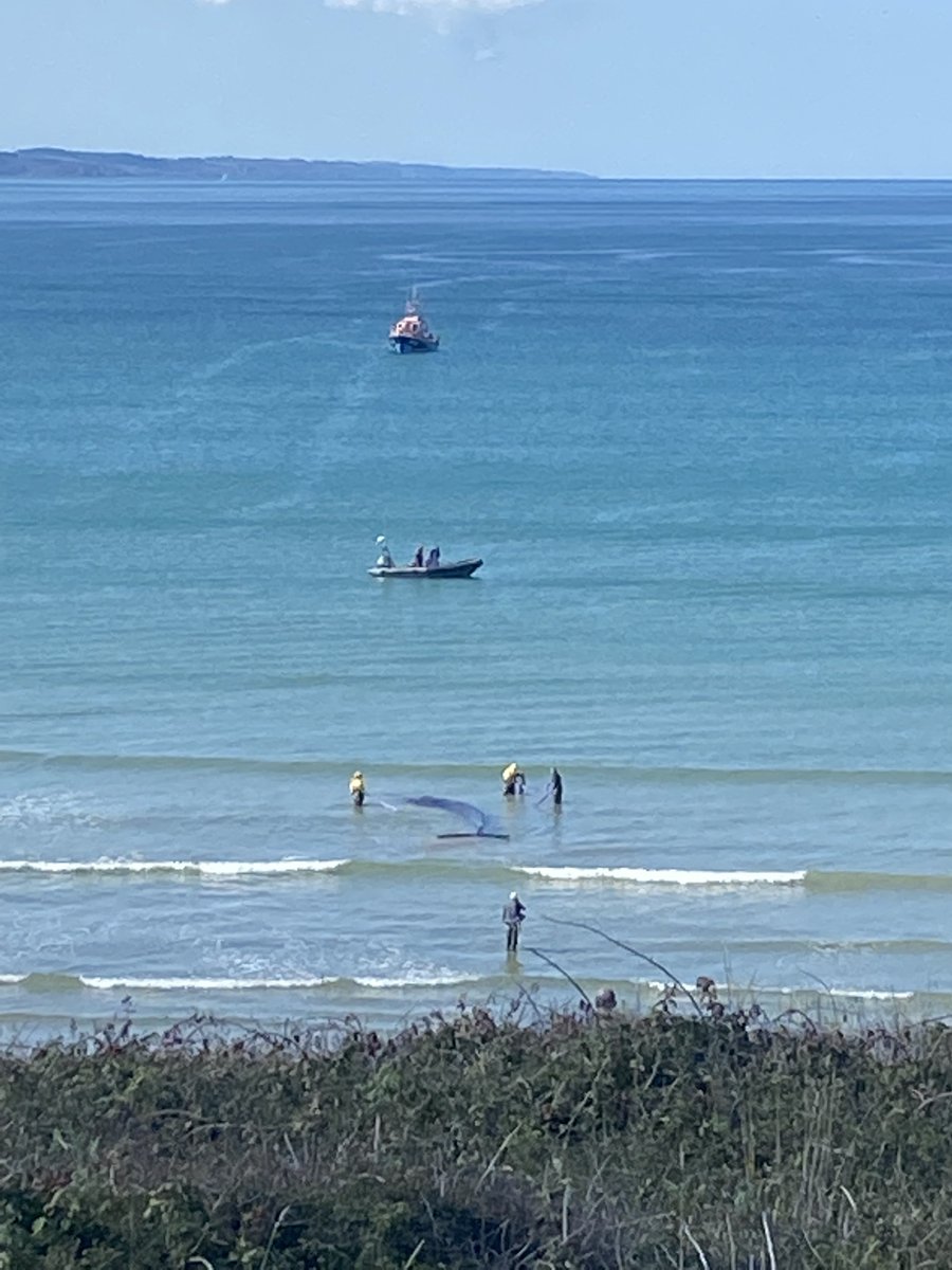 TebeoTV_Tebesud's tweet photo. Ce soir dans #BONJOURBRETAGNE à 18h30 focus sur :
- Le 3ème rorqual d’environ 12 m de long qui s’est échoué à #Ploeven
- l'ouverture du procès du drame du Moustoir à #Lorient, survenue en décembre 2020
- des éoliennes financées par des citoyens à #Merdrignac https://t.co/q1yltyvUbU