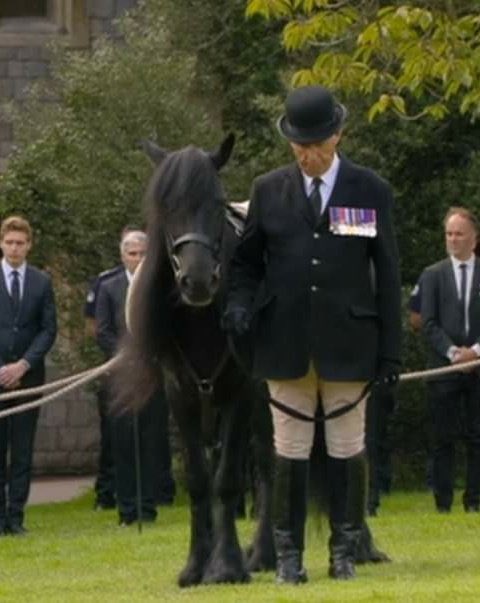 I was not emotionally prepared for this #queensfuneral #queenspets