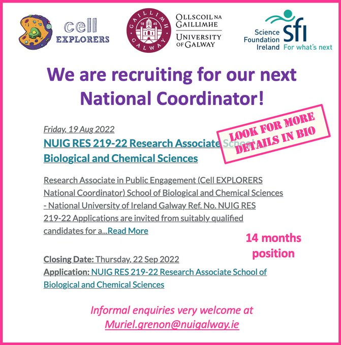 Sarah Carroll tweet media