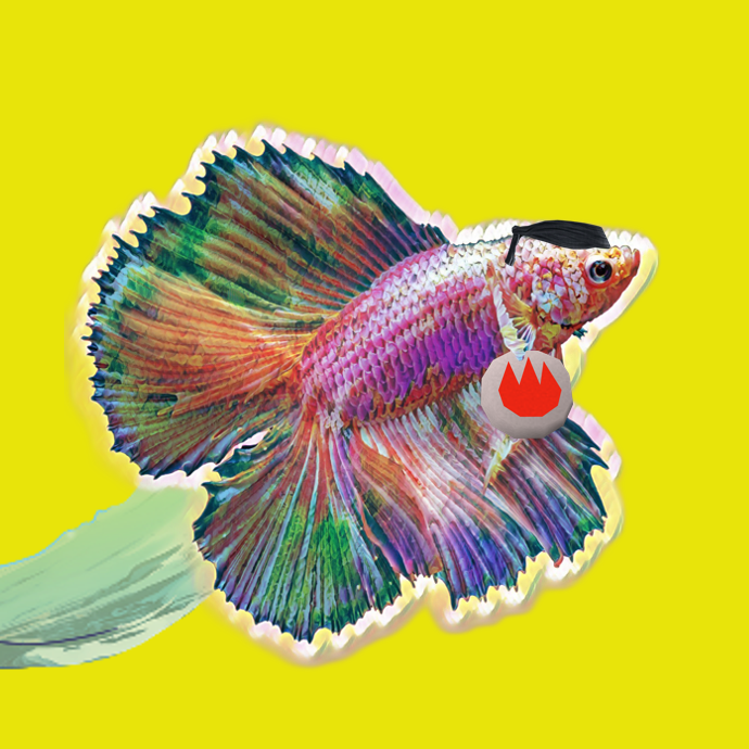 rarefish_market tweet picture