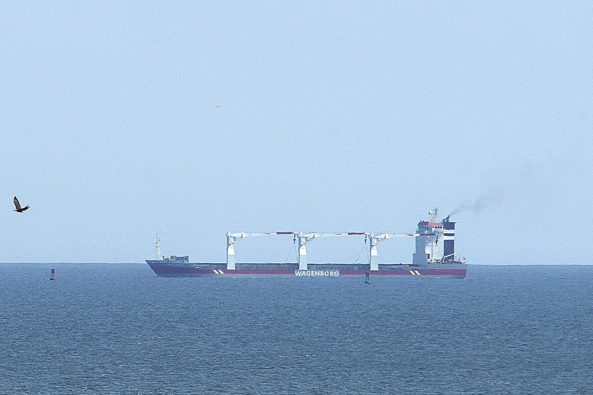 johnmorgan726's tweet photo. The AMERICABORG, IMO:9365659 en route to Baltimore, Maryland @BShipspotting @BaltoChes flying the flag of the Netherlands 🇳🇱. #Wagenborg #GeneralCargoShip #Americaborg #ShipsInPics https://t.co/nGvdwi62JD