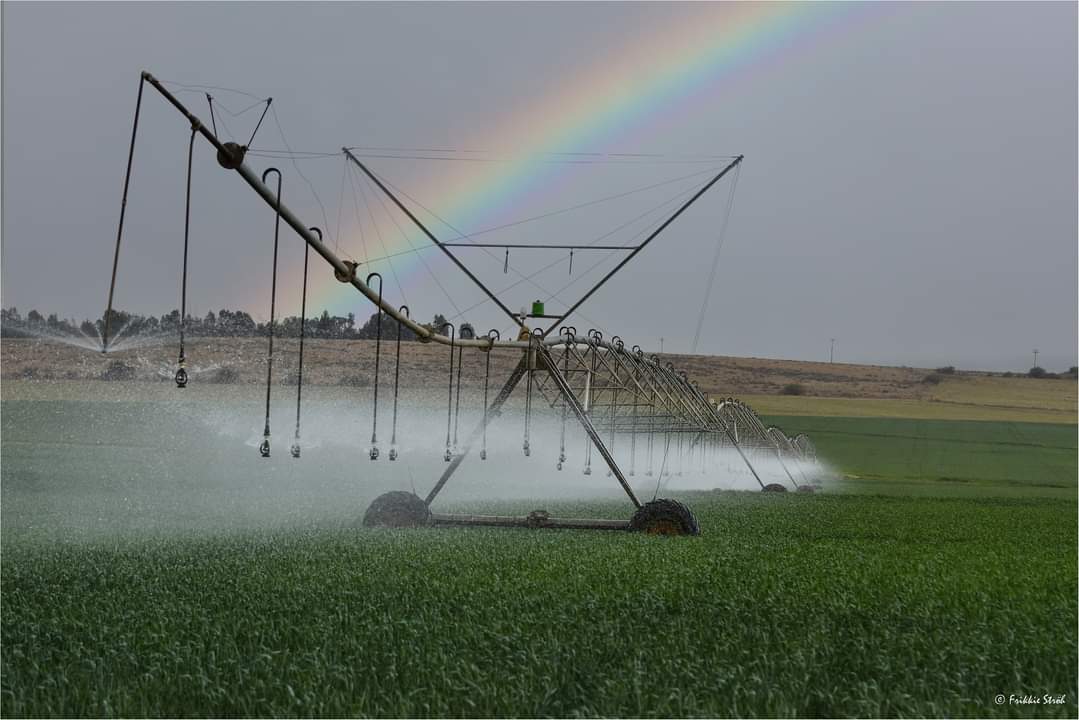 “Your success lies in your own hands. You must therefore not wait for the grass to become greener by magic. You have the hands to irrigate your own territory by doing what is expected of you!”
― Israelmore Ayivor