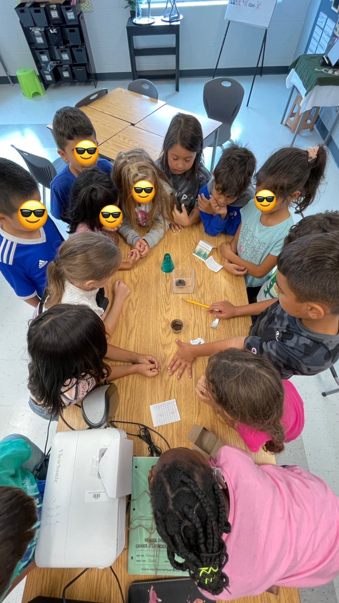 FlorczakRachel's tweet photo. Planting our Spruce seedling from @SMCDSB #TogetherWeGrow 🌱 @SMCDSB_SCE https://t.co/fY5RyPTWAF