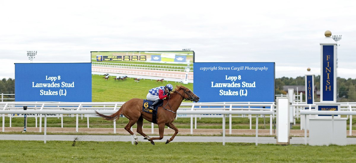 Steven Cargill tweet media