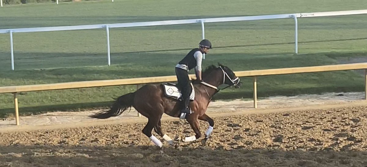 BGRacingClub's tweet photo. Plenty of Time makes his debut Wed @ChurchillDowns! Hopeful for a good,safe trip!  Good Luck to Plenty of Time and all our members! https://t.co/AhWlkqm3YY