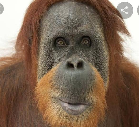 ArvyLavinch's tweet photo. Wabula baby your beautiful, 😻 😻😻the baby .👇👇👇😂😂😂 https://t.co/50AyYmQnDd