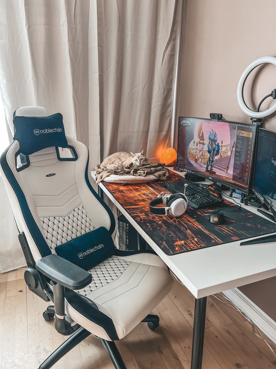 Back home from the lovely Spa! About to go live on Twitch with my brand new chair model 'HERO BLACK/PLATINUM WHITE' chair from @noblechairs ! They were so kind to also give Emmi a brand new chair in white! We love you guys @noblechairs ❤️