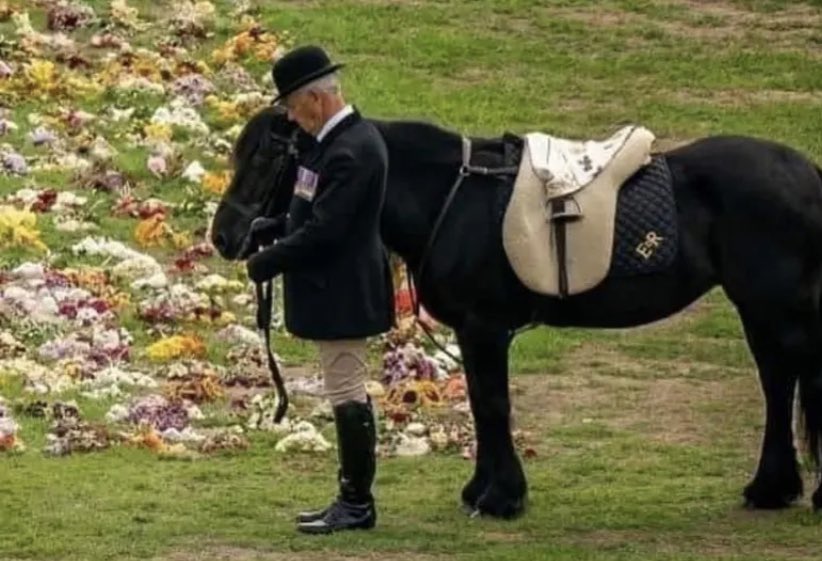 Holding it together until this. Not just the Queen’s horse Emma but the Queen’s headscarf on the saddle