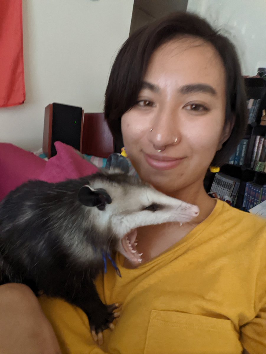 Pj_possum's tweet photo. It will never not be funny that people on yik yak thought that PJ was some hot guy everyone was talking about only to find out it's my pet opossum 🤣💀 https://t.co/F2xXeMb2Sv