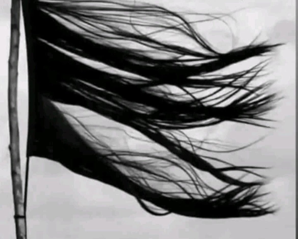 Kadınlar İran’ı geri alacaklar 🍀 
#Mahsa_Amini