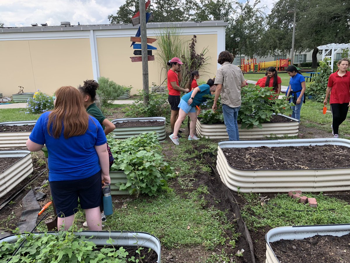 GardenMort's tweet photo. #GardenGnomies continued to learn how to be good stewards of 🌍 with a mini-lesson about water conservation and the water cycle from @UF_IFAS. Drip irrigation installation complete. 💧 🌱 #SchoolGardens @MortElementary @HCPSElemScience @TransformHCPS https://t.co/LqjEl5SxqA
