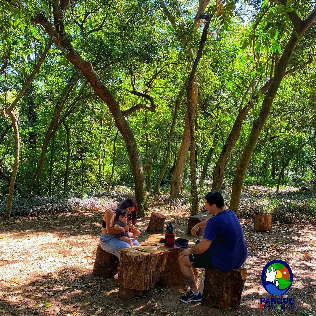 parquesaludpy's tweet photo. 👨‍👩‍👦 | Ayer captamos un hermoso momento familiar en el Parque. En uno de los espacios preparados para el descanso. Estos espacios fueron creados precisamente atendiendo a la importancia de la lactancia materna y a la cantidad de madres que nos visitan con niños en etapa lactante. https://t.co/VEuep114Cz