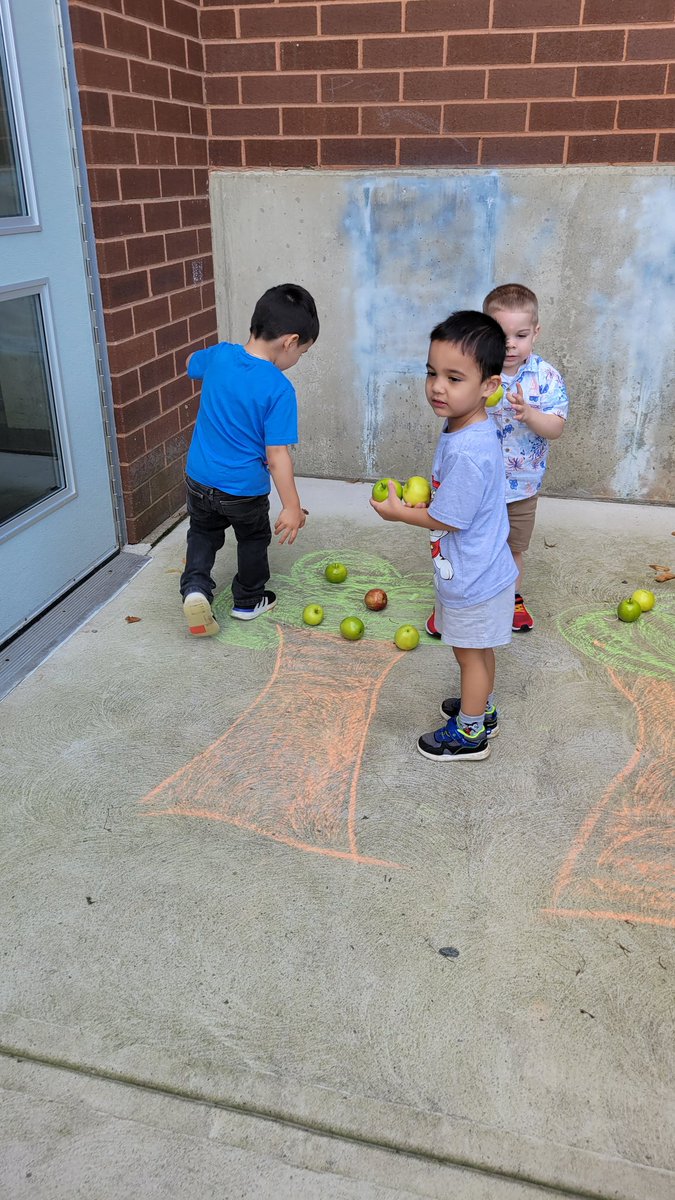 Alison Bancroft tweet media