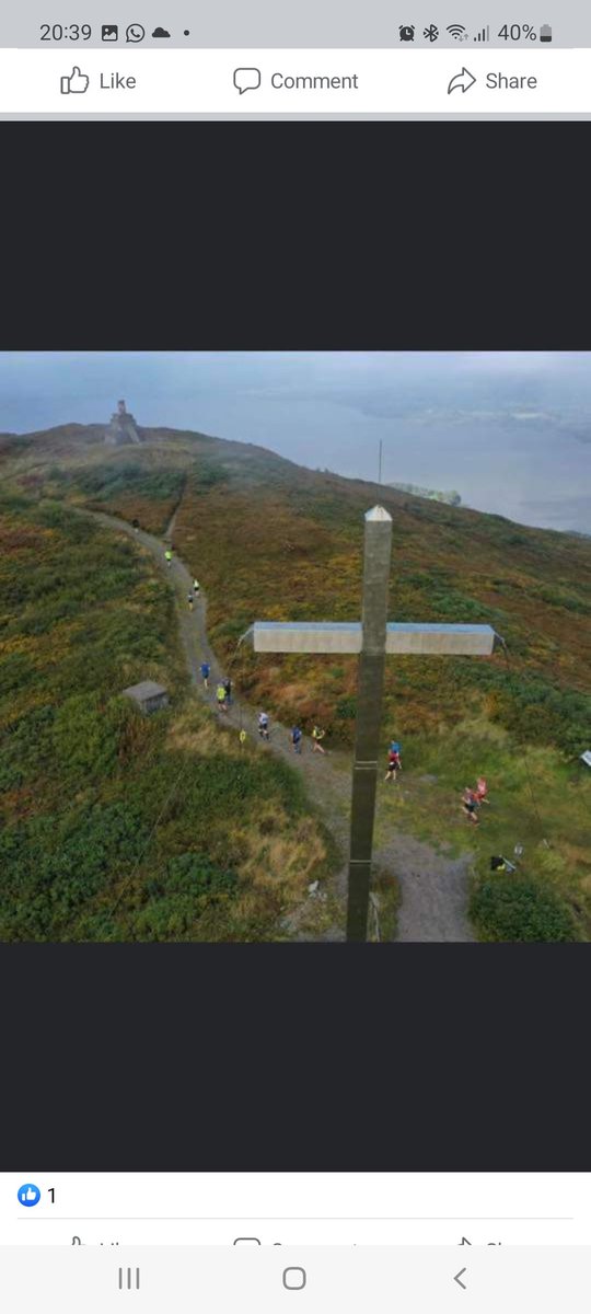 Speak Easy Toastmasters Mallow tweet media