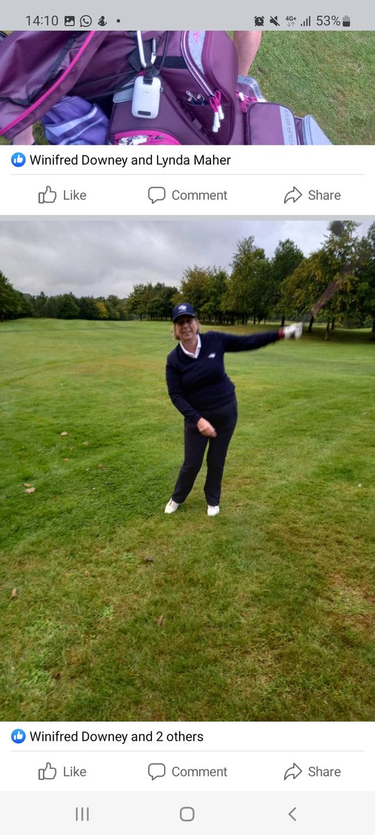 Speak Easy Toastmasters Mallow tweet media