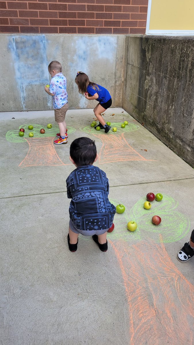 Alison Bancroft tweet media