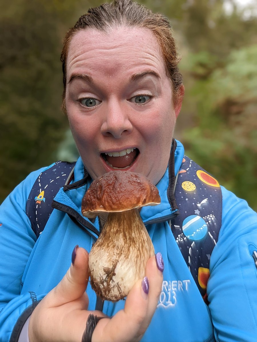 DrJenniferPless's tweet photo. Very excited about my mushroom find today. 🤣 My first penny bun.
#mushrooms #ceptember #porchini #foraging https://t.co/dh7kifRiNh