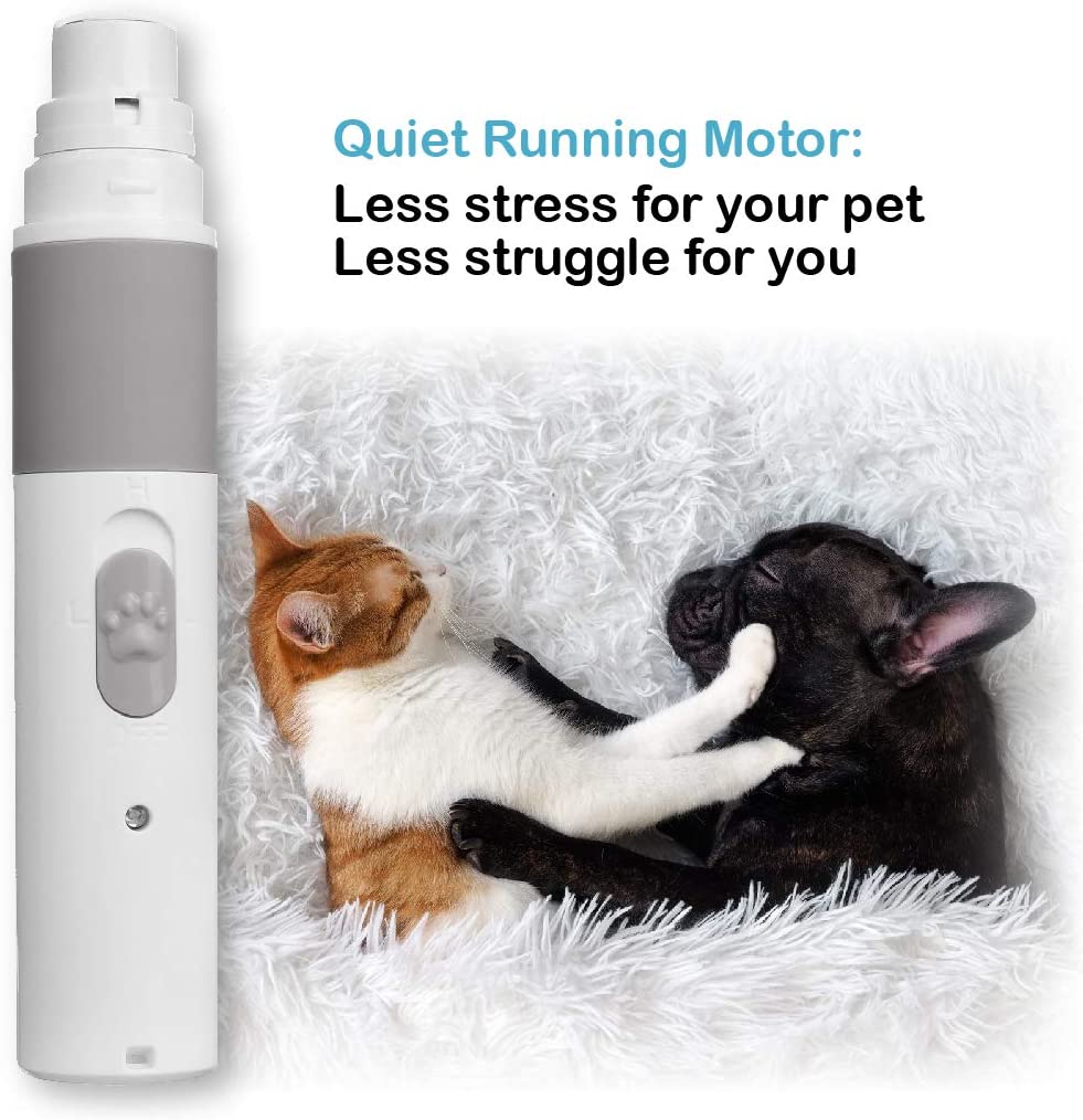 PetsFirstCompa1's tweet photo. #WOWOW! Can you believe it? The #PetsFirst Rechargeable Nail Grinder is now on #Sales for only $19.99! Down from $34.99! #Save $15.00!!
Grab yours on #Amazon while supplies last!
https://t.co/cs12v9lGCG
#Grooming #pets #cats #dogs #shopping #trend #Trending #dogsoftwitter #family https://t.co/aEk4pZbqib