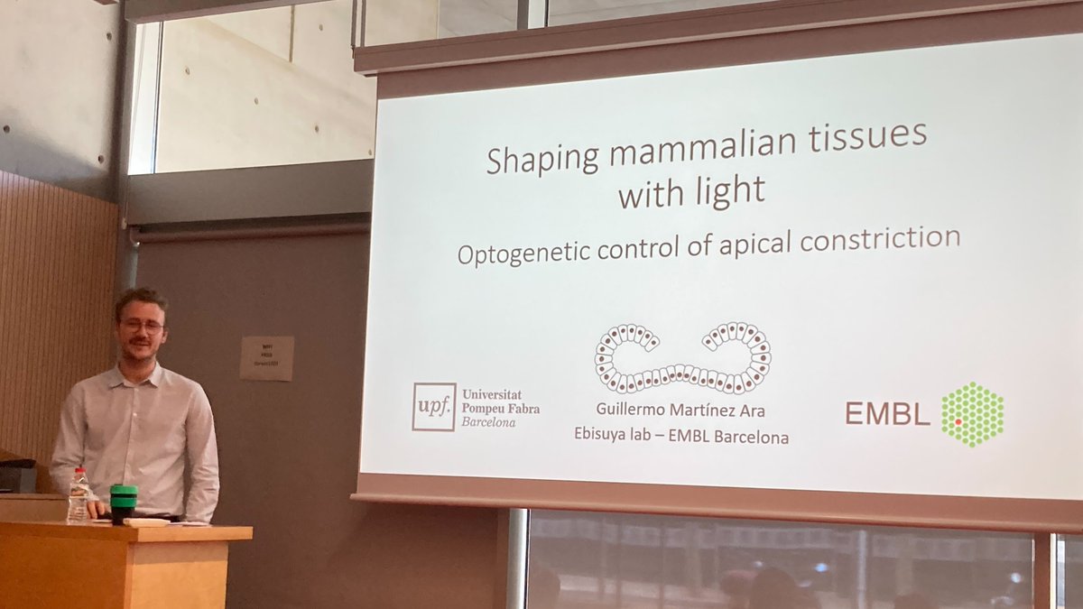 EbisuyaMiki's tweet photo. The first doctor from my EMBL lab, Dr. Guillermo Martínez Ara🍾🍾

Thanks, @viktri08 @Ruprecht_Lab @XavierTrepat, for thoughtful questions and discussions.

@GMartinezAra, Obviously I'm biased, but you presented and defended perfectly! Congratulations!! https://t.co/zMYO6vpwj5