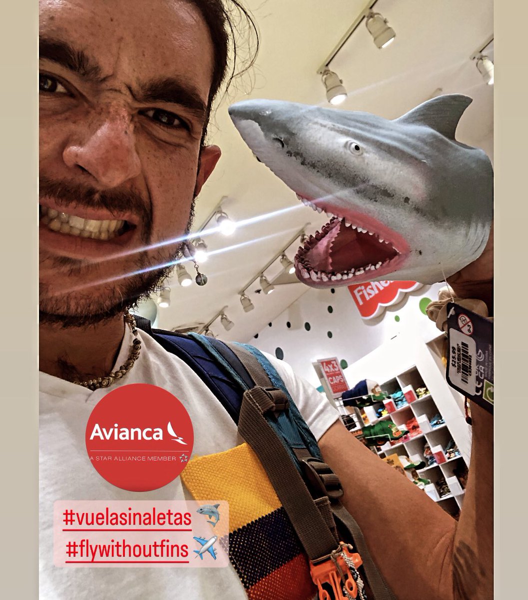 The shark fin trade is brutal, fins are sliced off live sharks and millions perish each year. Many airlines perpetuate this barbaric trade by facilitating transportation. @Avianca Be part of the solution and commit to a shark fin ban today?#FlyWithoutFins