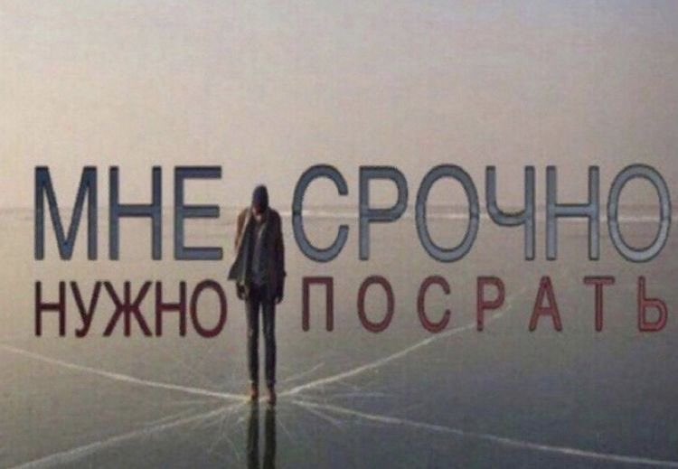 месячные edition