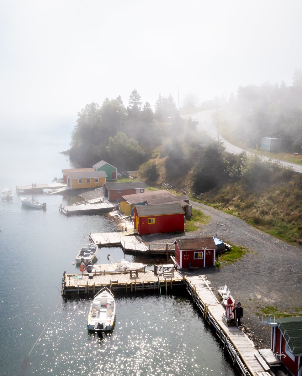 Dildo Cove, Newfoundland. #dildonewfoundland #newfoundland #comehome2022 #nlwx #explorenl #canada #photography #fog