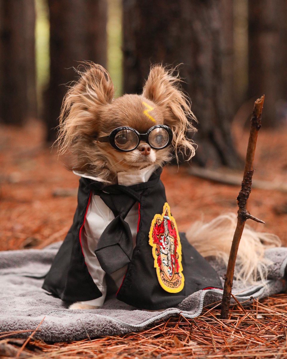 Expelliarmus MUNDAY! 🤓🪄
#HarryPotter