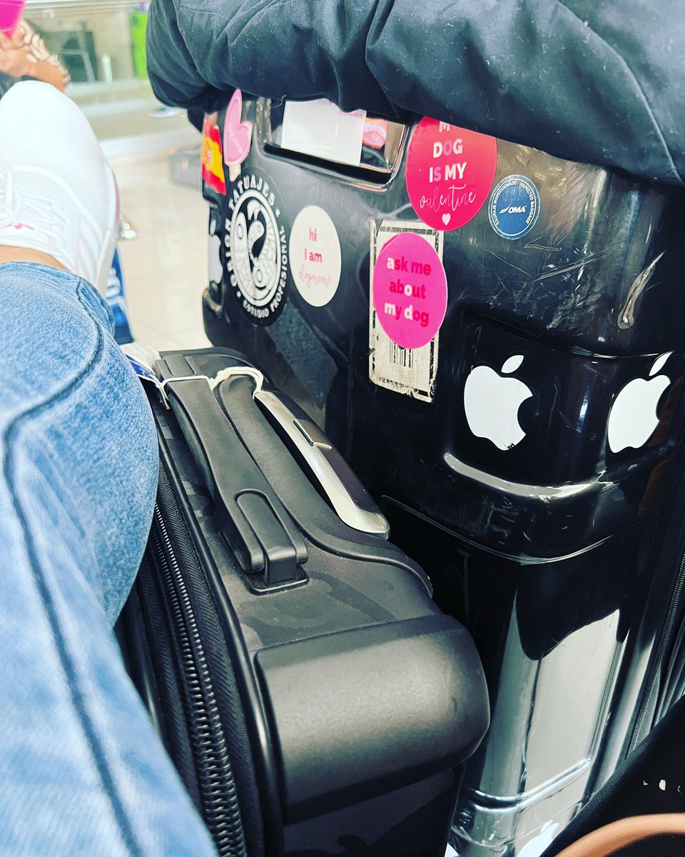 Monyk 🦁🔥❤️✈️ tweet media