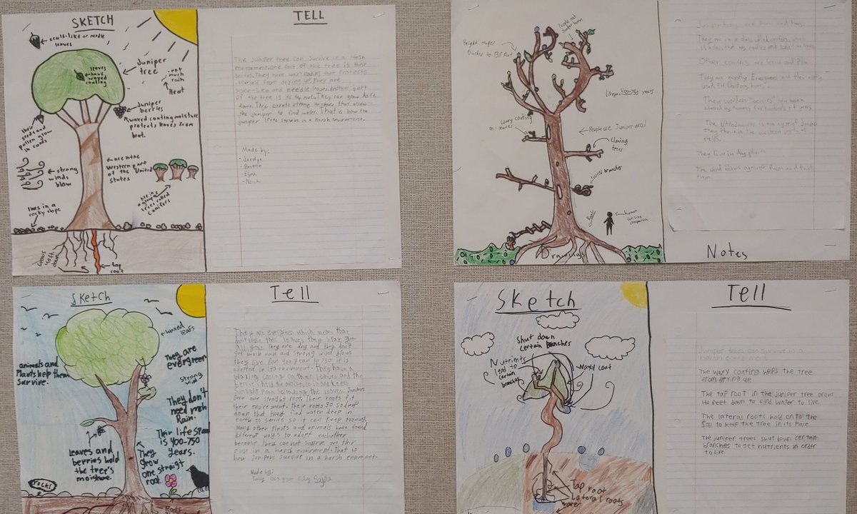 I don't mean to brag 😉, but look at these group sketch and tells! I wasn't sure how it would go but they knocked it out of the park. #eduprotocols