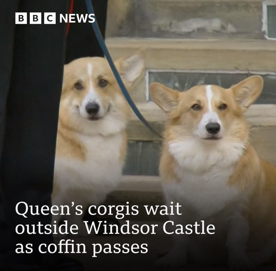 KaraParty's tweet photo. What a day! One we will never forget . The moments that really got me… the corgis, Emma the pony and the Piper’s lament. All very personal and intimate moments the Queen wished for. Forever in our hearts. RIP Your Majesty ❤️🤍💙 #queensfuneral https://t.co/Y8viOwSLLI