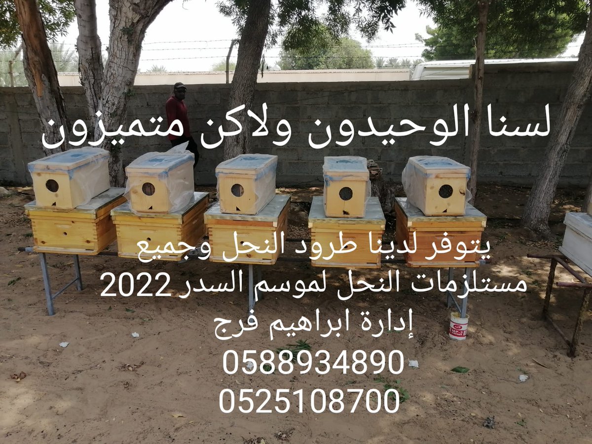 يتوفر لدينا طرود النحل وجميع مستلزمات النحل لموسم السدر 2022 إدارة ابراهيم محمد 0588934890